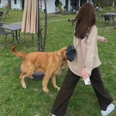 艰难时光 海报